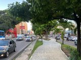 Idosa de 71 anos é atropelada na Avenida Fernandes Lima em Maceió