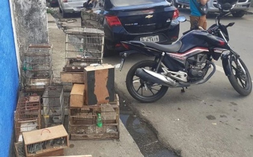 Homem que mantinha mais de 100 pássaros em cativeiro agride militar com soco e é preso em Maceió