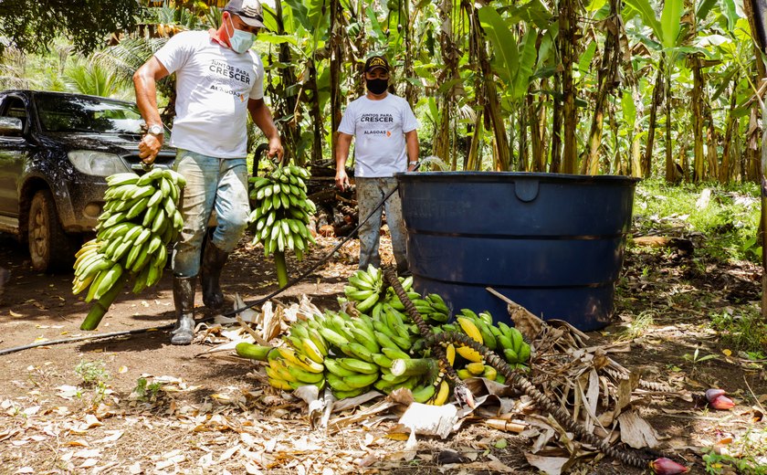 Agricultores de União dos Palmares comemoram sucesso do associativismo