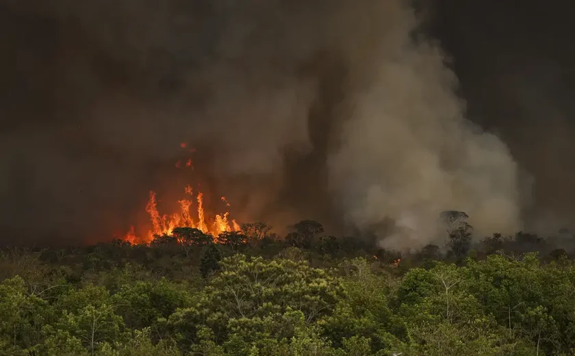 Incêndios podem ter afetado mais de 11 milhões de pessoas no Brasil