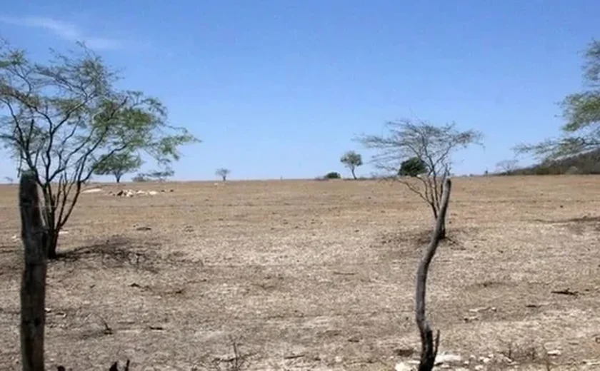 Seca avança em Alagoas e estado está entre os mais afetados do Brasil, aponta Monitor de Secas