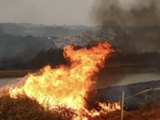 Mais de 80% dos focos de calor em SP estão em áreas de agropecuária