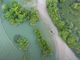 Afundamento chega a 1,92 m; imagens de drone mostram lagoa avançando sobre a mina