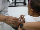 Alagoas recebe primeiro lote da vacina contra vírus que causa infecções respiratórias