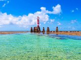 IMA-AL encontra algas em mancha escura no mar da Ponta Verde