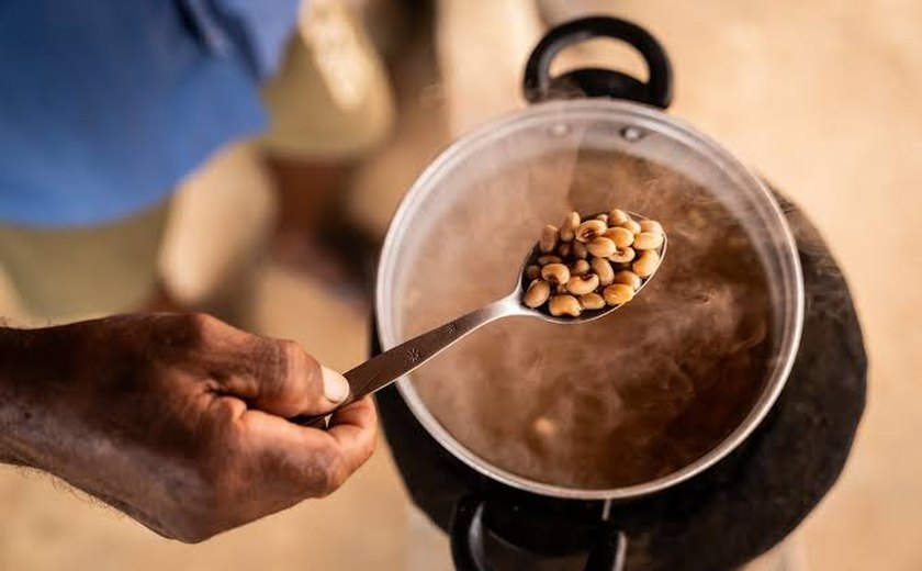 Brasil sai novamente do Mapa da Fome, mas ainda enfrenta insegurança alimentar, alerta ONU