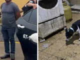 Médico é preso após cães serem achados congelados em freezer de casa