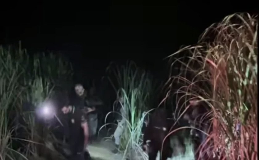 Jovem de 19 anos é preso suspeito de estuprar e matar mulher desaparecida em Colônia Leopoldina