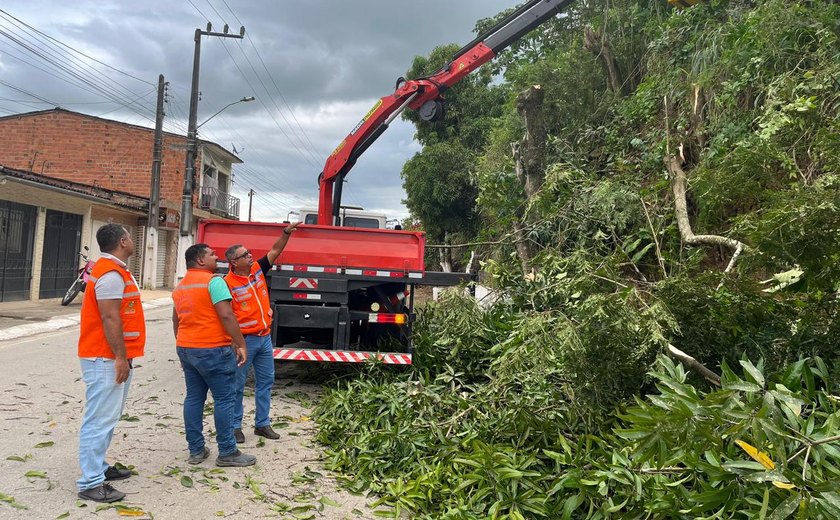 Defesa Civil de Branquinha realiza operação de podas de árvores
