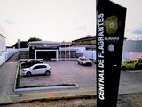 Homem é preso com bombas caseiras e diz que é para sua proteção