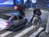 Carro atropela homem montado a cavalo em rua de Franca (SP); câmera flagra acidente