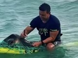 Surfista resgata tartaruga presa em rede de pesca em praia de Maceió