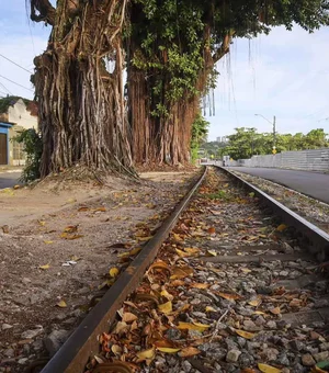 Maceió vive drama sem fim com minas da Braskem; veja perspectivas