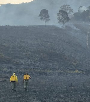 Incêndio de grandes proporções destrói parte da Estação Ecológica de Murici