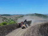 Usina em Alagoas incorpora máquinas indianas para driblar crise de mão de obra no corte da cana