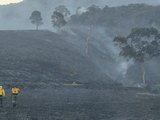 Incêndio de grandes proporções destrói parte da Estação Ecológica de Murici