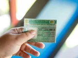 Motoristas de Alagoas economizam R$ 16,2 milhões com renovação automática da CNH