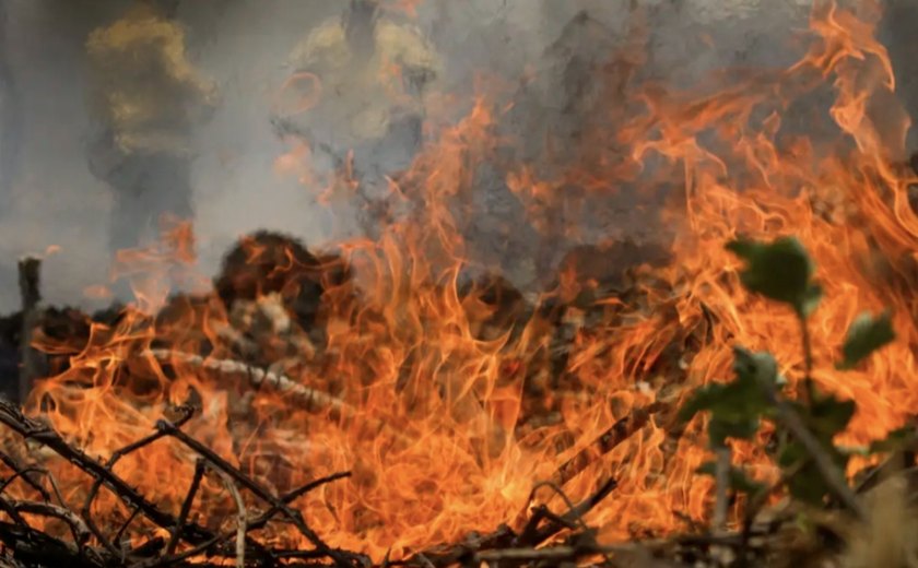 Incêndios em vegetação disparam quase 50% em Alagoas em 2025, aponta Corpo de Bombeiros