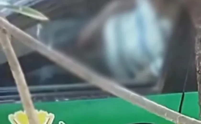 Prefeitura afasta servidor flagrado se masturbando em carro oficial, em via pública