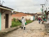 Ibateguara intensifica combate à dengue com ação de borrifação em comunidade rural