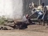 Vídeo mostra homem matando cavalo em Rio Largo; suspeito está foragido