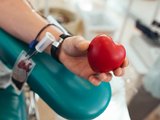 Hemoal registra estoque crítico de sangue e faz apelo por doações em Alagoas