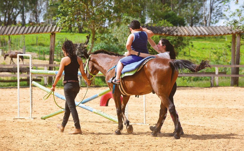 Entenda o que é a Equoterapia, método que pode ser utilizado por pessoas com deficiência em União dos Palmares