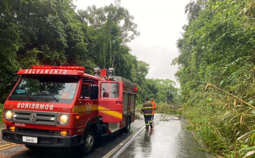 Mulher fica ferida após carro capotar em Messias