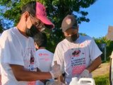 Vigilância Sanitária da continuidade ao combate às moscas com procedimento de pincelamento