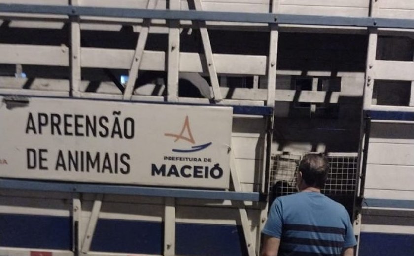 Ação da prefeitura de Maceió resgata animais em situação de maus-tratos