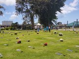 Homenagens marcam Dia de Finados em cemitérios de Maceió