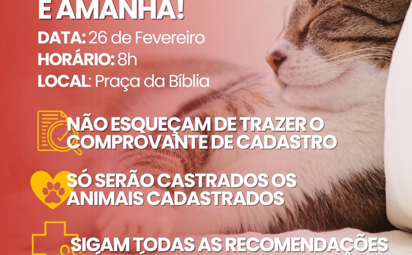 União Pet leva mutirão de castração ao bairro Rocha Cavalcante nesta quarta-feira em União dos Palmares