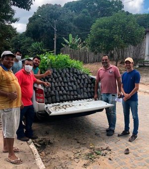 Prefeitura de Ibateguara adquire 1000 árvores nativas do Bioma da Mata Atlântica