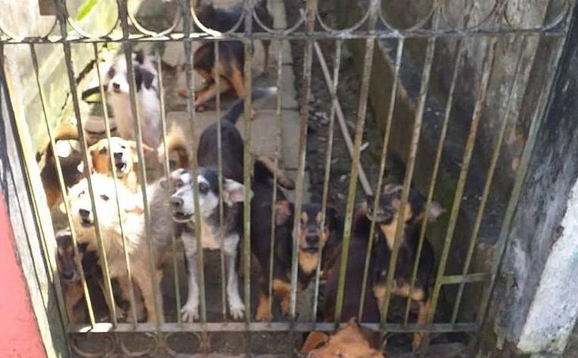 Cerca de 20 cães são vítimas de maus-tratos em casa no bairro Santa Lúcia; em Maceió