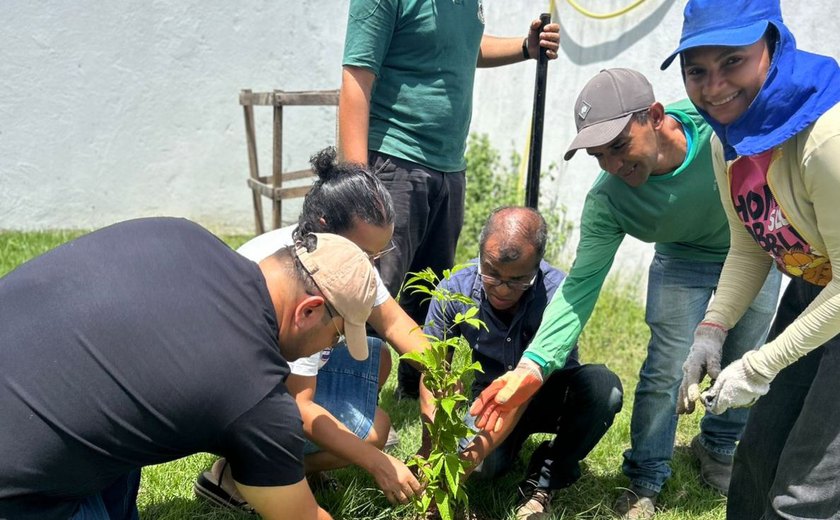 Prefeitura de União dos Palmares realiza ações de arborização pela cidade