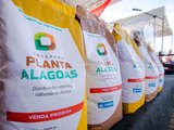 Inscrições para o programa Planta Alagoas estão abertas