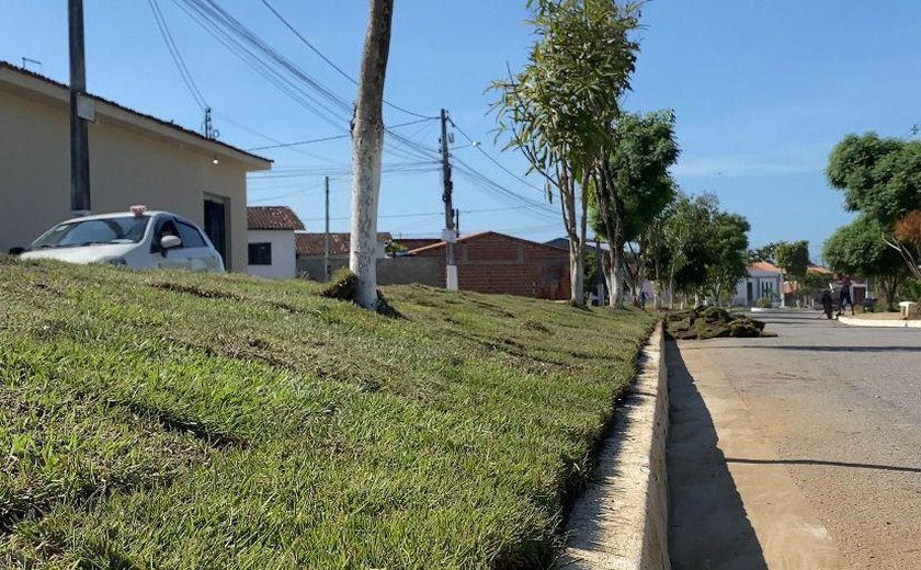 Prefeitura da Branquinha revitaliza canteiros na parte alta da cidade