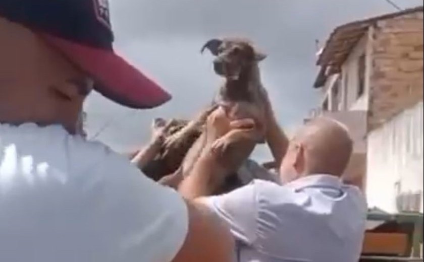 27 cães em situação de canibalismo e desnutrição são resgatados em Maceió