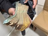 PF realiza operação no Nordeste contra cultivo de maconha e bloqueia R$ 50 milhões