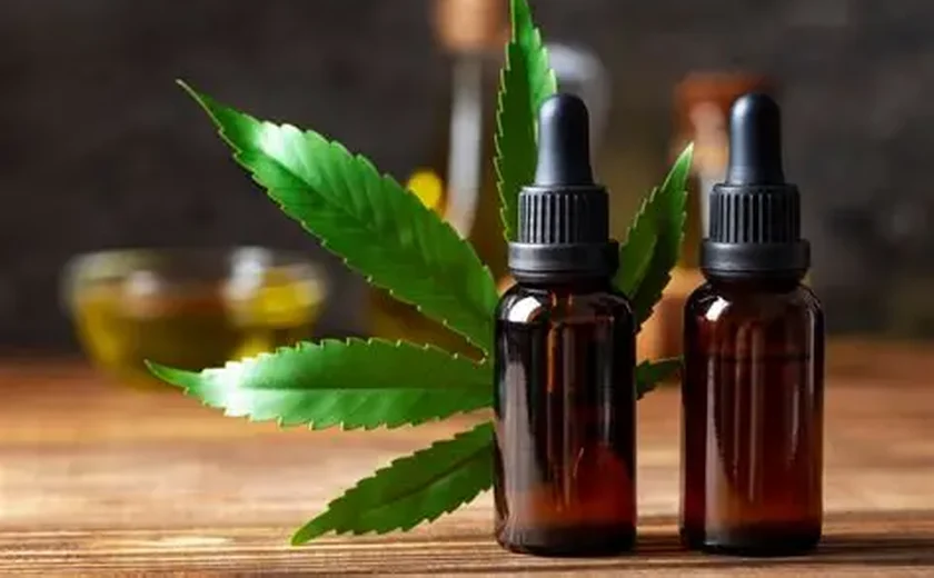 Regulamentação da Anvisa facilita acesso a tratamentos com cannabis medicinal em Alagoas