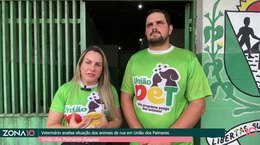 Veterinário analisa situação dos animais de rua em União dos Palmares