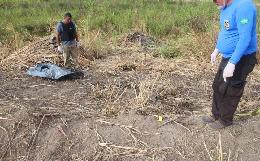 Ossadas humanas são encontradas dentro de canavial em Campestre