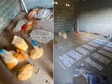 Esquadrão antibombas remove mais de 100 kg de explosivos abandonados em Maceió