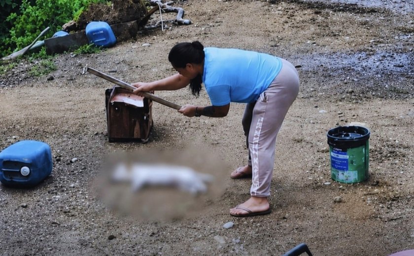 Mulher que matou cão a golpes de picareta e mantinha 35 animais em cárcere privado é solta pela Justiça