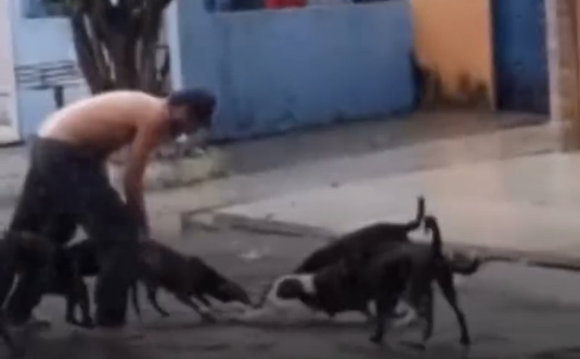 Cães abandonados atacam e matam gato em via pública no bairro Ponta Grossa, em Maceió