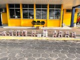 Polícia apreende 110 kg de cocaína e maconha em ônibus interestadual que vinha de São Paulo para Maceió