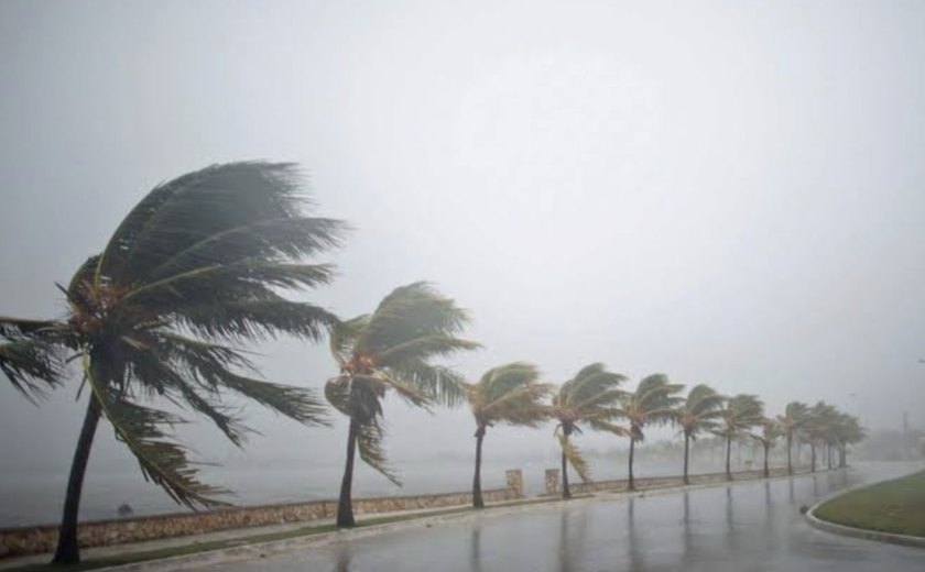 Alagoas emite alerta por ventos fortes até segunda-feira
