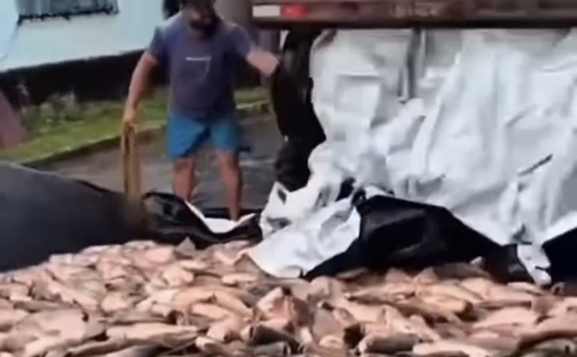Prefeitura do Maranhão entrega peixe em caçamba de lixo e causa revolta