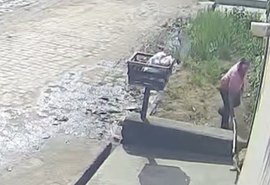 Polícia identifica homem que agrediu cachorro com paulada em Arapiraca