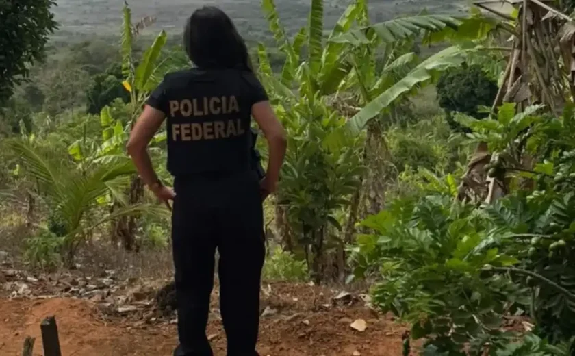 PF realiza Operação Kimbundu em União dos Palmares contra ocupação irregular na Serra da Barriga